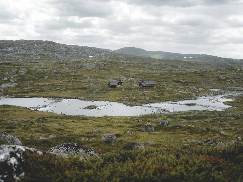 Kjeldebu 1 av Heidi Kvamsdal